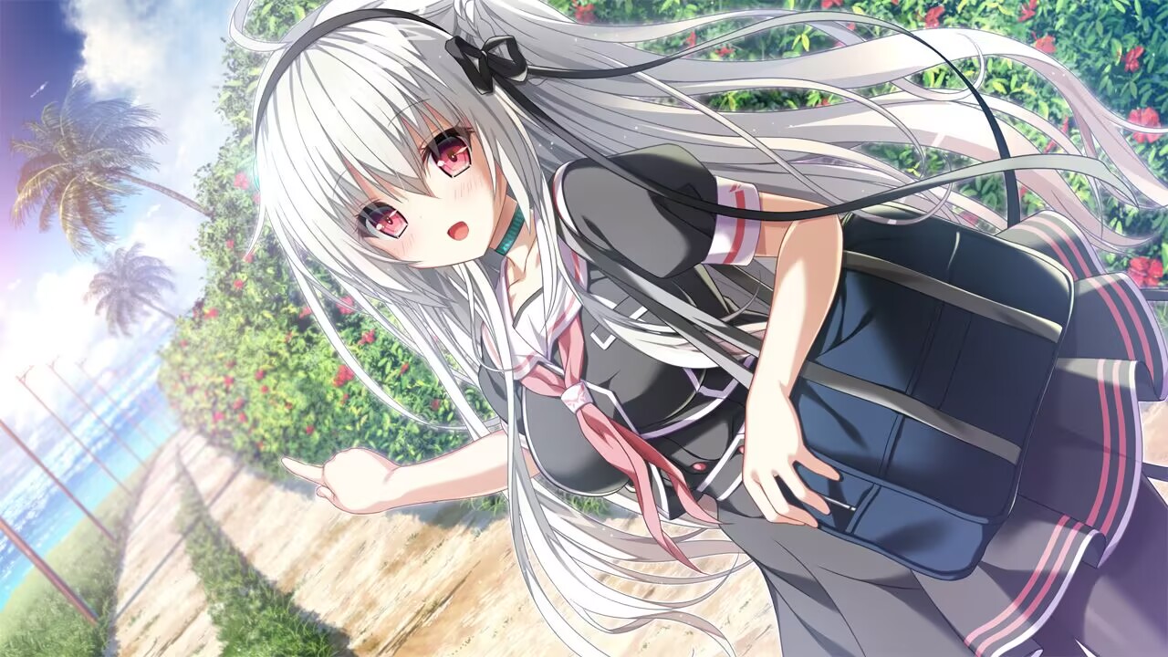 个人向galgame原声带或相关音乐整理及其资源